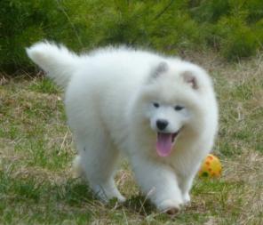 ����� ��������� ������ ��������� ������� �����