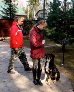 Новые и проверенные временем методики дрессировки!