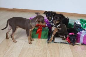 ����� ��� �������