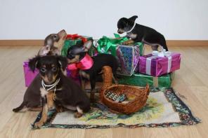 ����� ��� �������