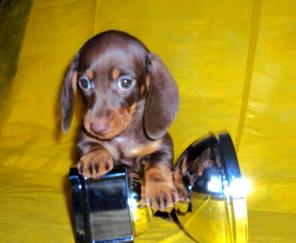 ����� �������������� ����� ����������� ������