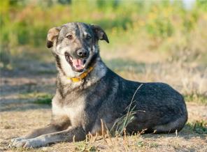 ����- �������� ������ � ���������� ����.