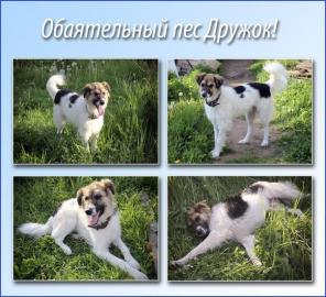 ����� ������ � �������� ���