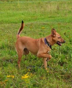 � ������ ���� ����� �������