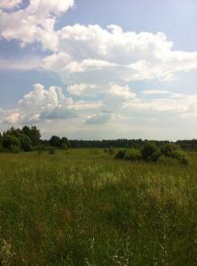 ��������� ��������� ������� �� 15 ����� ����������� �. 130 ��