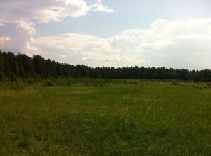 ��������� ��������� ������� �� 15 ����� ����������� �. 130 ��