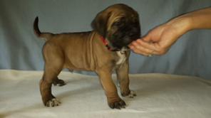 ��������� ����� ���� �����!