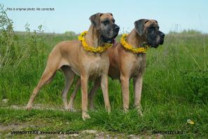 �������� � �������� ����� ��������� ����