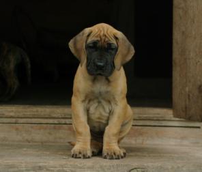 �������� � �������� ����� ��������� ����