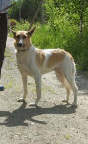 ������ ����� � ������ ����