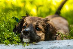 ��������� ���� - ������� � ���-��������� - � ������ ����!