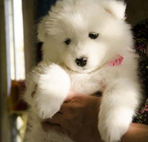 ����� �������!