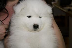 ����� �������!