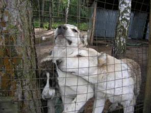 ��������� ����� ������