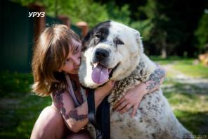 ���� - �������� �����