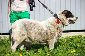 ���� - �������� �����