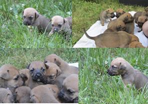 ������ ������ ����� � ������� ����� �������