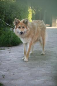 Барри, живущий в ожидании чуда, в дар добрым людям!