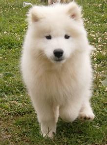 ������ ����� ���������� ������ .