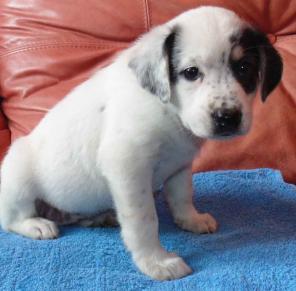 ����� � ���  ������ ���������.