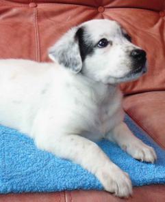 ����� � ���  ������ ���������.