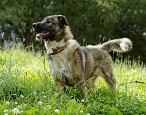 ����� - �������� ��� � ������ ����, ���� ���.