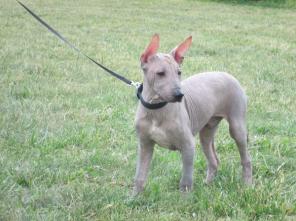 ����� ����������� ����� ������