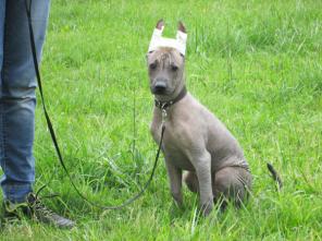 ����� ����������� ����� ������