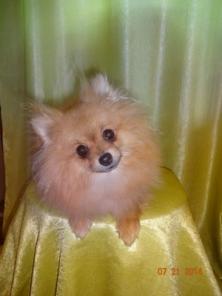 �������������� �������-���� ����