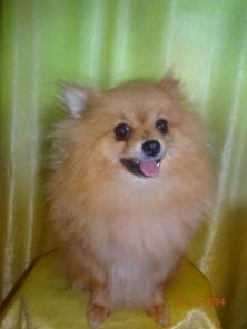 �������������� �������-���� ����