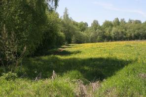 ��������� ������� � �������  ���������� ������ ��������� �. �����. ���.