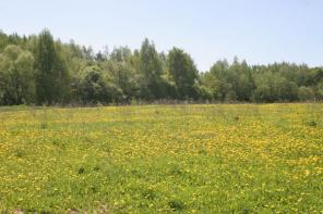 ��������� ������� � �������  ���������� ������ ��������� �. �����. ���.