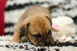 ����� ������ �������� � ������� ����.