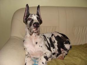 ����� ��������� ����