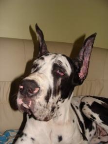 ����� ��������� ����