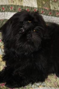 ��������� ����� ��-���, ��������� 07.03.14 �.