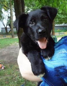 ����� ����� ���� ���� ���