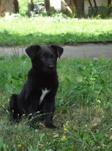 ����� ����� ���� ���� ���