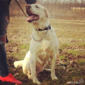 ������� ������ ����� ���� ������������� ����.