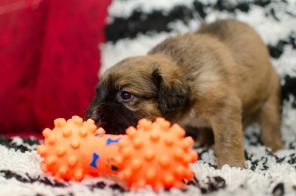 ����� � ������� ����.