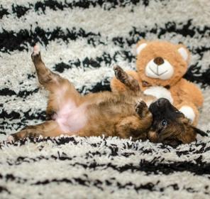 ����� � ������� ����.