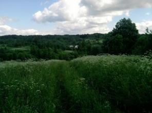 ��������� ��������� �������