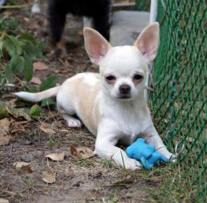 ����� �������� �/�