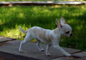 ����� �������� �/�