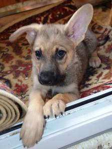 ����������� ����� 2.5 ���, � ����� ������ ����