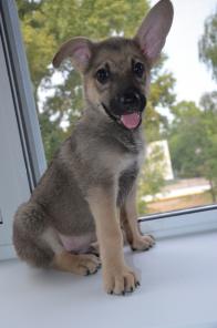 ����������� ����� 2.5 ���, � ����� ������ ����