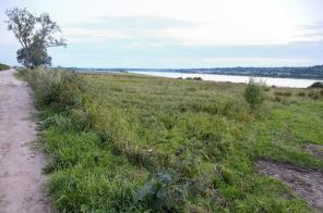 ������� �� 16-22 �����. � ���������� �����