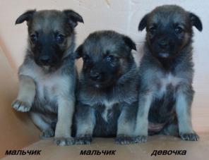 ��������� ����� � ������ ����