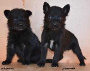 ��������� ����� � ������ ����