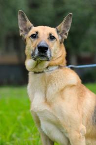 ��������� ������ ����� � ������� ����! (���)